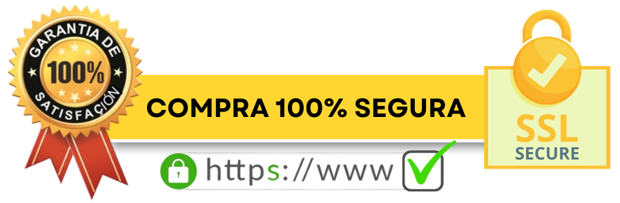 Página 100% segura